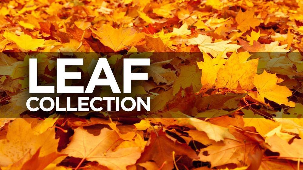 Leaf Collection